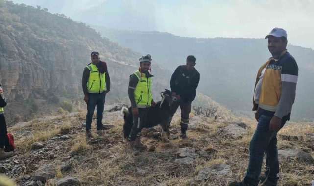 Uçurumda mahsur kalan keçiyi ERKUT ekipleri kurtardı