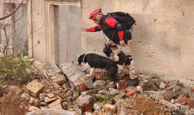 Uluslararası 'Arama Kurtarma Köpekleri Şampiyonası' Çekmeköy'de yapıldı