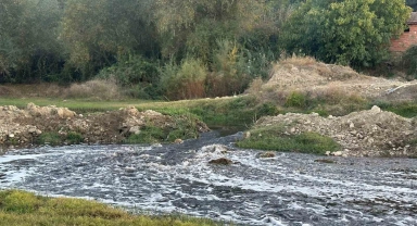 Uşak OSB'den bırakılan atıkların Gediz Nehri'nde kirlilik ve balık ölümlerine neden olduğu iddia edildi