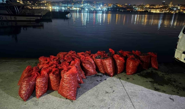 Üsküdar'da 2 ton kaçak midye ele geçirildi