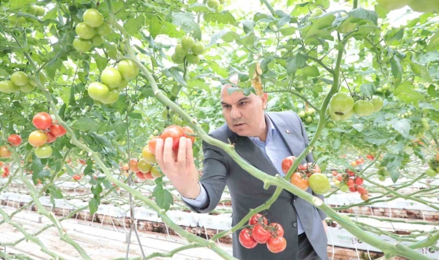 Vali Koç jeotermal sera alanında incelemelerde bulundu