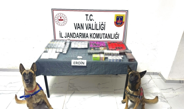 Van'da gümrük kaçakçılığı operasyonları