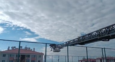 Van'da halı sahanın yan ağlarına takılan karga kurtarıldı