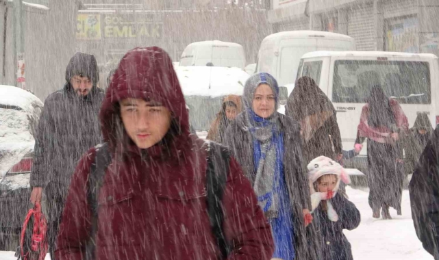 Van'da kar yağışı