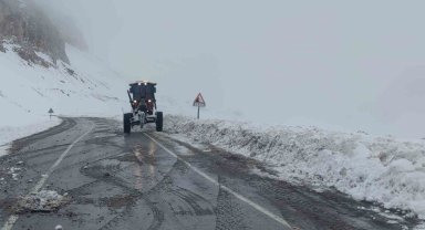 Van'da kar yağışı ve sis