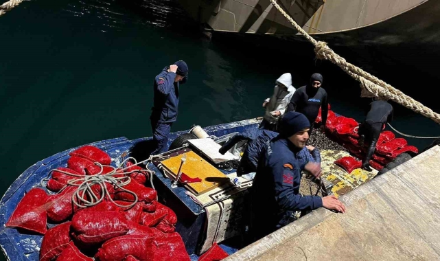 Yalova'da 20 ton kaçak midye ele geçirildi