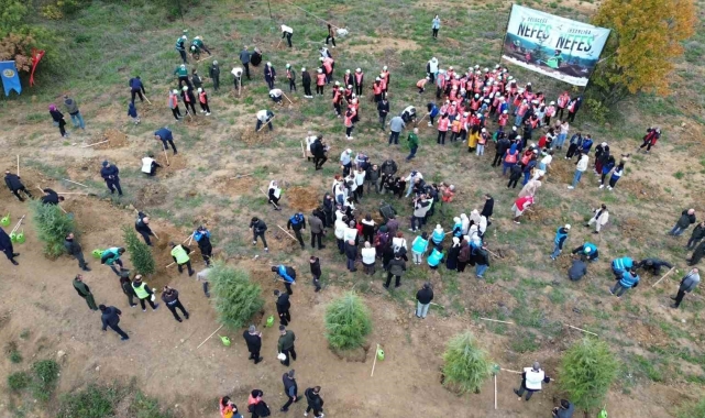 Yalova'da 3 bin 200 fidan toprakla buluştu