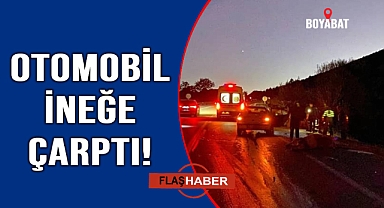 Yola çıkan inek kazaya neden oldu