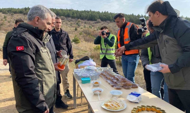 Yozgat Çamlık Bal Ormanı'nda fidanlar toprakla buluştu