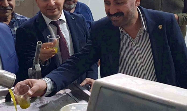 Zeytinde verim arttı, yağın fiyatı 160 TL'ye kadar düştü