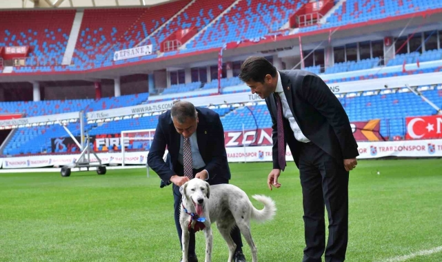 'Zibidi' Trabzonspor'a transfer oldu, ismi 'Fırtına' olarak değişti