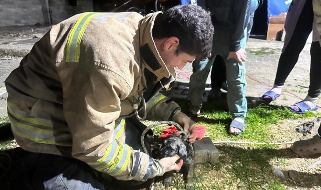 17 metre derinliğindeki kuyuya düşen köpeği itfaiye kurtardı