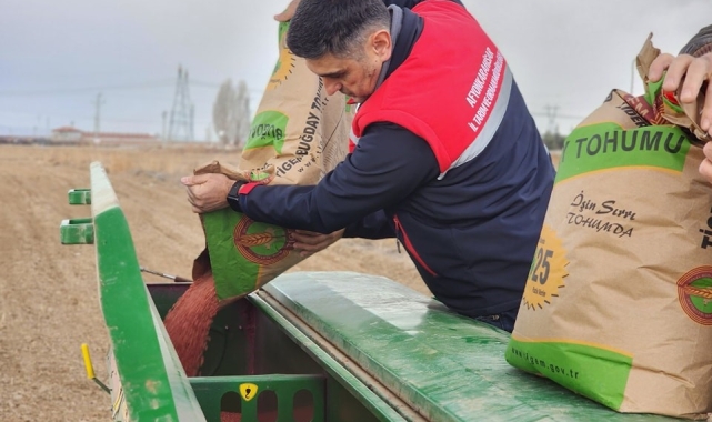 300 ton buğday ekimi gerçekleştirildi