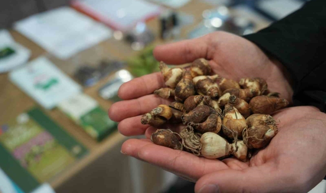 60 milyar dolarlık pazarda Samsun, "Ben de varım" dedi