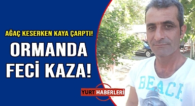 Ağaç keserken kafasına yamaçtan taş düşen adam hayatını kaybetti