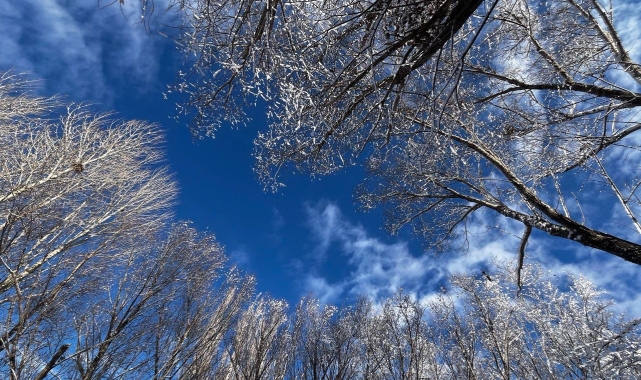 Ağrı'da soğuk hava etkisini sürdürüyor
