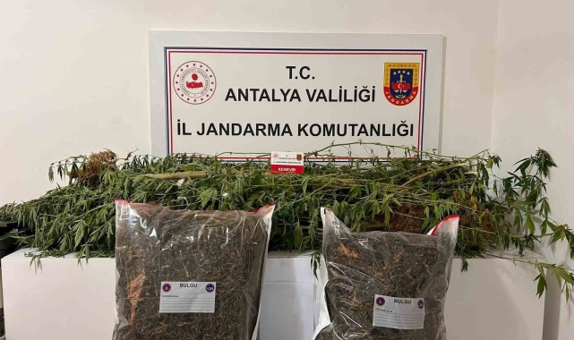 Alanya'da narkotik operasyonları