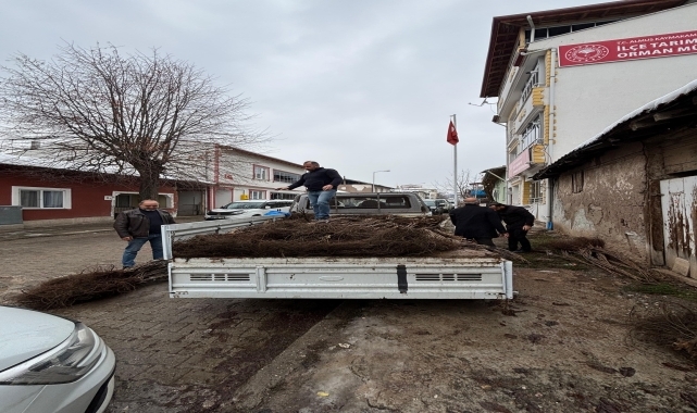 Almus'ta üreticilere 1070 ceviz fidanı dağıtıldı
