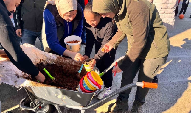 Anamur'da ceviz tohumları toprakla buluşturuldu