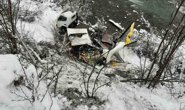 Artvin'de meyve yüklü kamyon dereye yuvarlandı: 1 yaralı