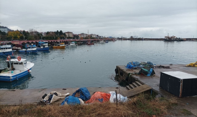 Atık suyunu limana boşaltan hamsi kamyonu tespit edilerek cezai işlem başlatıldı