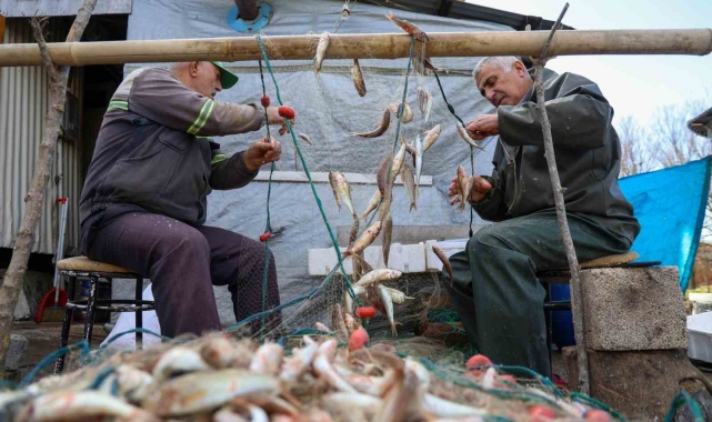 Balık tezgahları yüz güldürüyor: Tezgahlarda barbun ve istavrit bolluğu