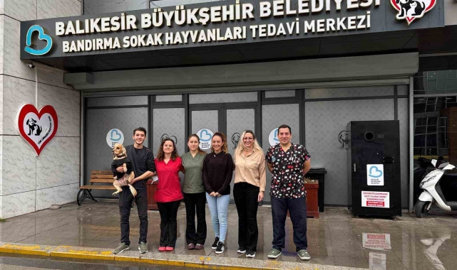 Bandırma Sokak Hayvanları Tedavi Merkezi 13 bin 459 hayvana şifa dağıttı