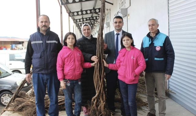 Bilecik'te çiftçilere yüzde 50 destekli eviz ve badem fidanı