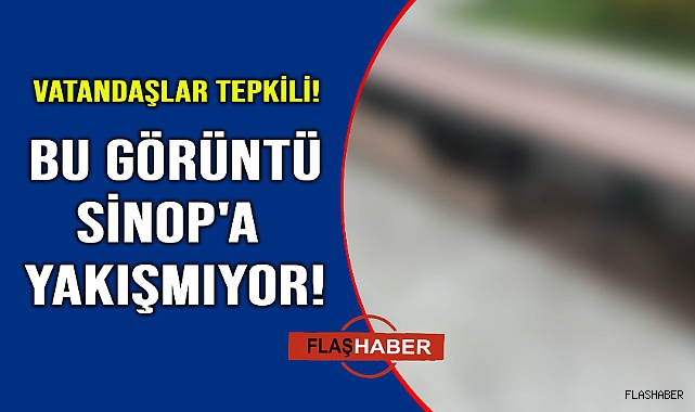 Bir zahmet el atın