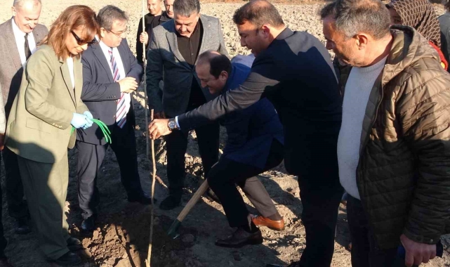 Birinci derece tarım arazisi olmayan alanlarda 'kestane' yetişecek
