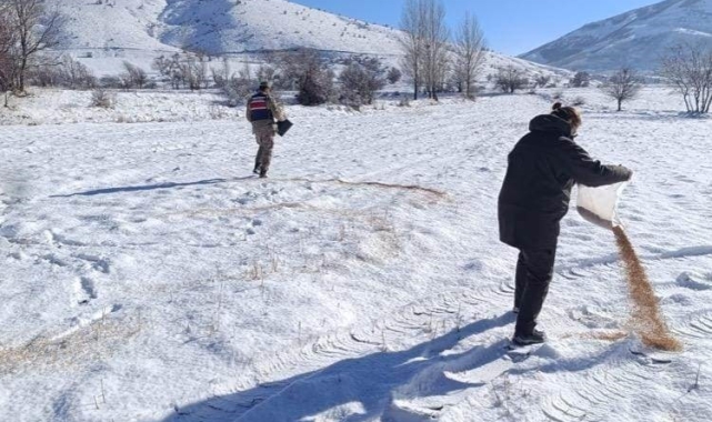 Bitlis'te yaban hayvanları için doğaya yem bırakıldı