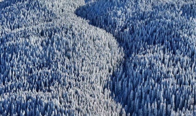 Bolu'nun dağlarında eşsiz manzara