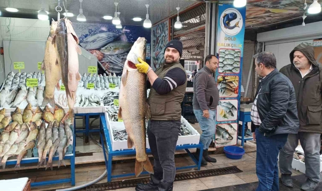 Botan Çayı'nda avlanan dev turna balığı Batman'da sergilendi