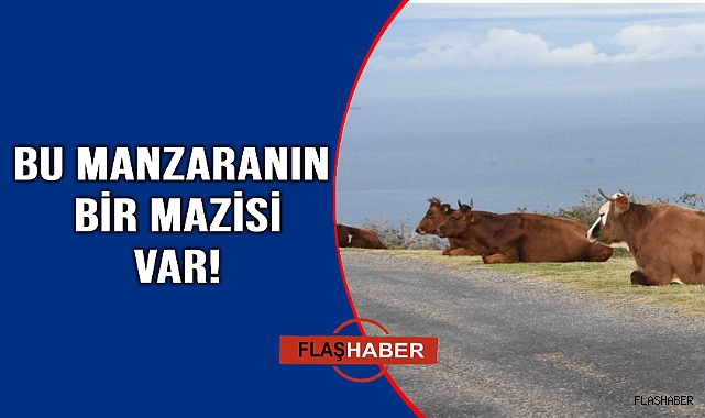 Bu manzarayı görüyorsanız Sinop'tasınız demektir!