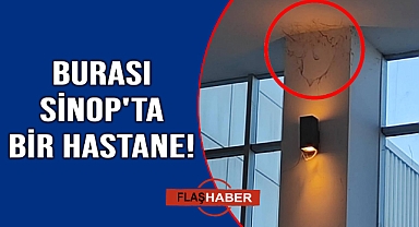 Bu nasıl bir rezillik?