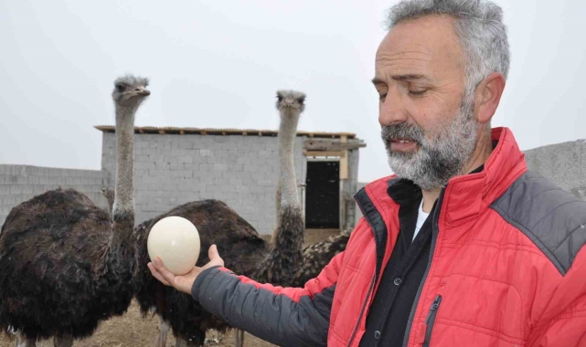 Burası Afrika değil Kars