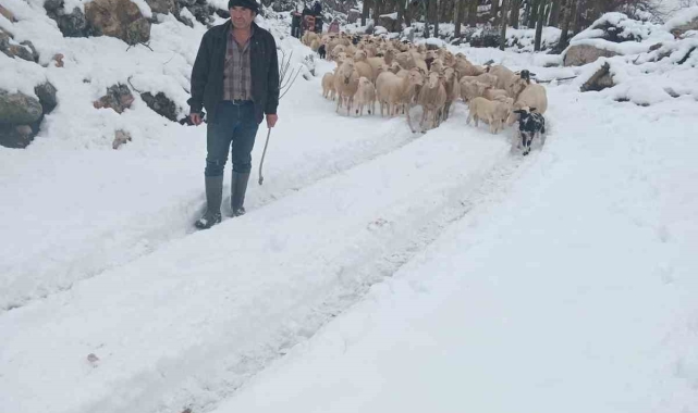 Burdur'da sürüsüyle birlikte mahsur kalan çoban kurtarıldı