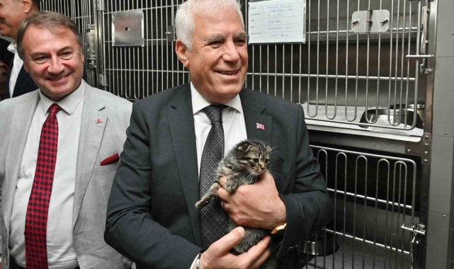 Bursa Büyükşehir'den can dostlara şefkat