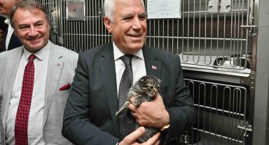 Bursa Büyükşehir'den can dostlara şefkat