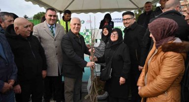 Bursa Büyükşehir'den üreticiye fide ve fidan desteği