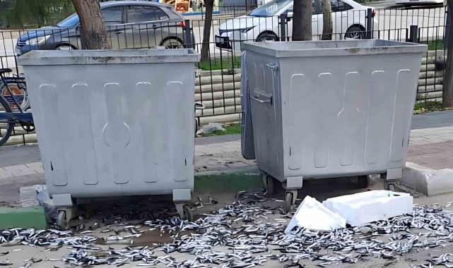 Çevre düşmanı bozuk balıkları yola döktü