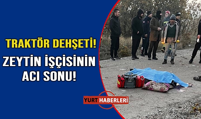Dengesini kaybeden zeytin işçisi traktörün altında can verdi