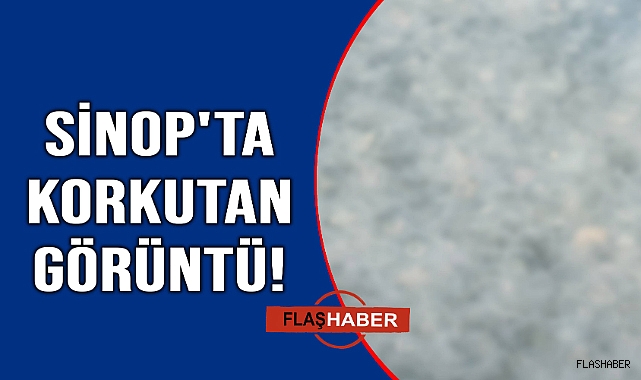 Deniz yüzeyini işgal ettiler