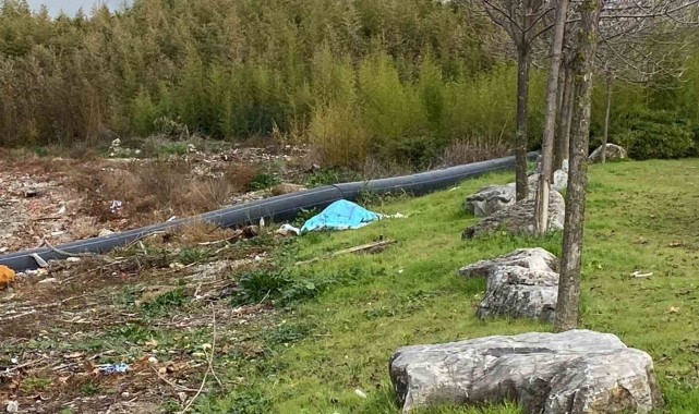 Denizde elleri ve ayakları bağlanmış erkek cesedi bulundu