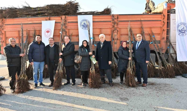 Denizli cevizin başkenti olma yolunda ilerliyor