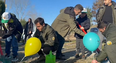 Doğaya bir fidan da Türkeli'den