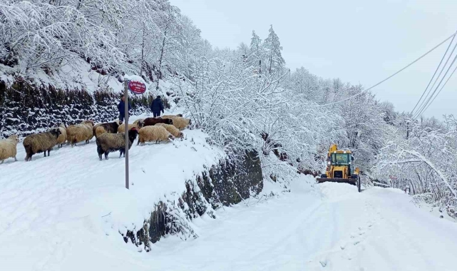 Doğu Karadeniz'de kış