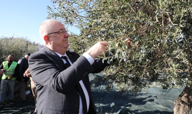 Edremit Belediye Başkanı Mehmet Ertaş "Tek bir zeytin tanesi heba olmuyor"