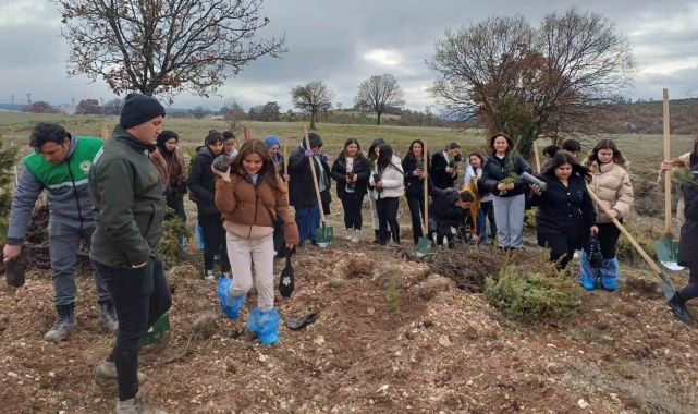 Emet'te fidan dikim etkinliği