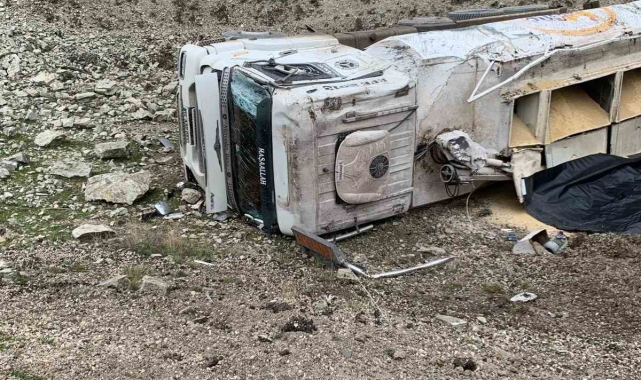 Erpiliç'in yem yüklü kamyonu devrildi: 1 yaralı